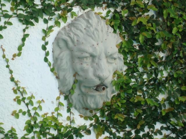 Chale Mineiro Hostel & Pousada Μπέλο Οριζόντε Εξωτερικό φωτογραφία